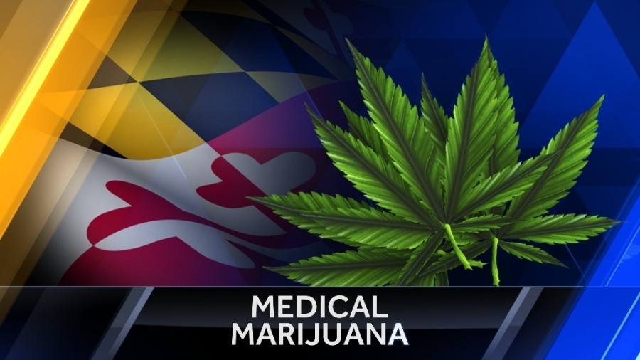 Medical_Marijuana25.jpg