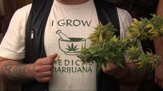Medical_Marijuana_Grower.jpg