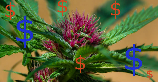 Money-and-marijuana-feature.jpg