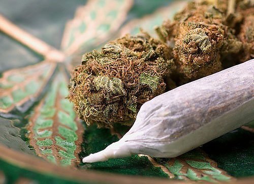 Nug_and_joint_-Shutterstock.jpg