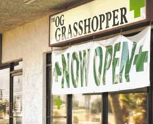 OG_Grasshopper_Of_Palm_Springs.jpg