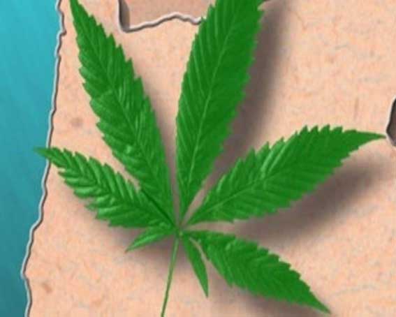 Oregon_Marijuana_-_MGN_Graphics.jpg