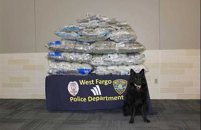 Police_Bust_-_West_Fargo_PD.jpg