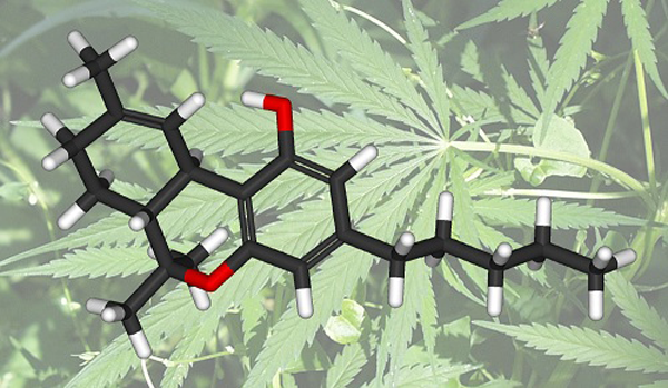 THC-cannabis-leaf.png