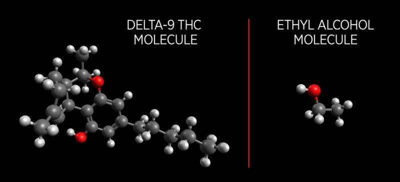 THC_Molecule_-_National_Institute_of_Standards_and_Technology.jpg
