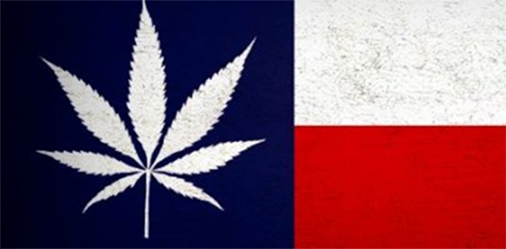 Texas_Marijuana_Flag.jpg