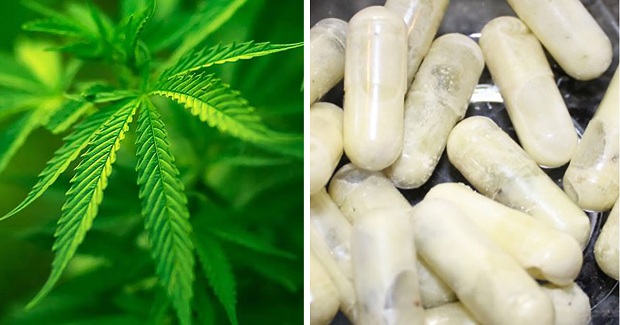 Treatment-with-Cannabis-Oil.jpg