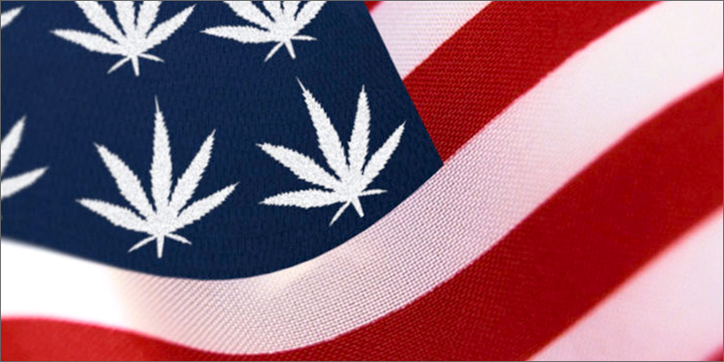 USA_Cannabis_Flag.jpg