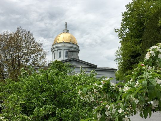 Vermont_Statehouse_-_APRIL_MCCULLUM.png