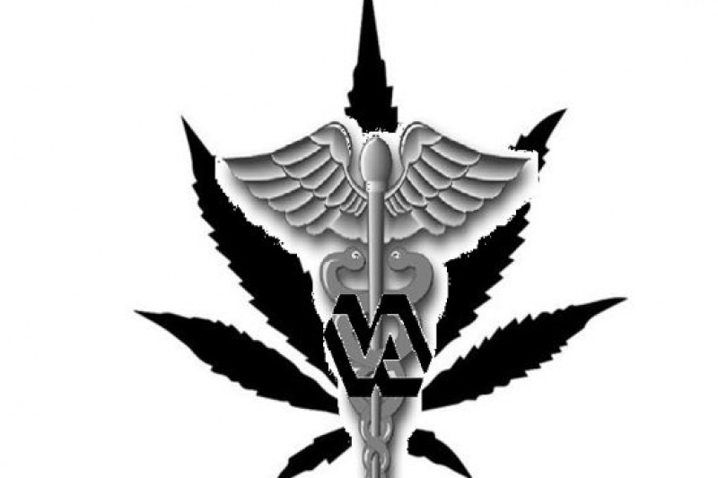Veteran_Medical_Cannabis_Forum_-_Jeff_Staker.jpg