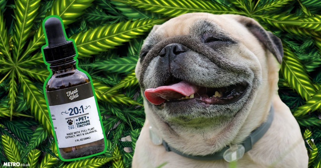 aw-cannabis-weed-pets-dog-treat-well.jpg