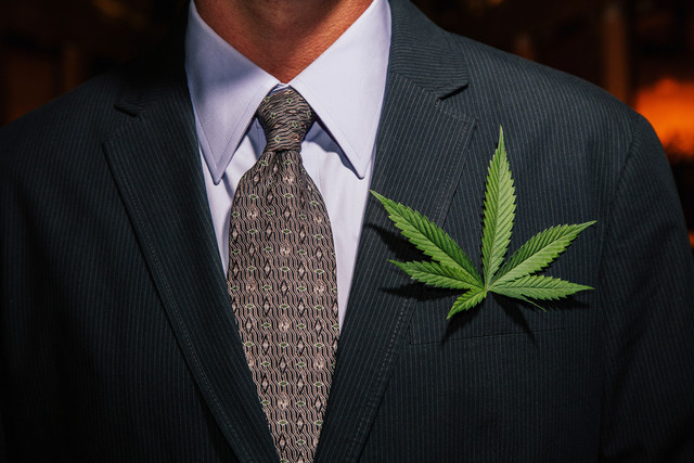 businessman-suit-marijuana-leaf.jpg