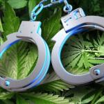 busted-with-marijuana-police-say.jpeg
