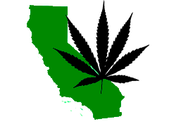 california-medical-marijuana.png
