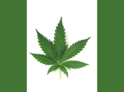 canada-marijuana-industry-400x299.jpg
