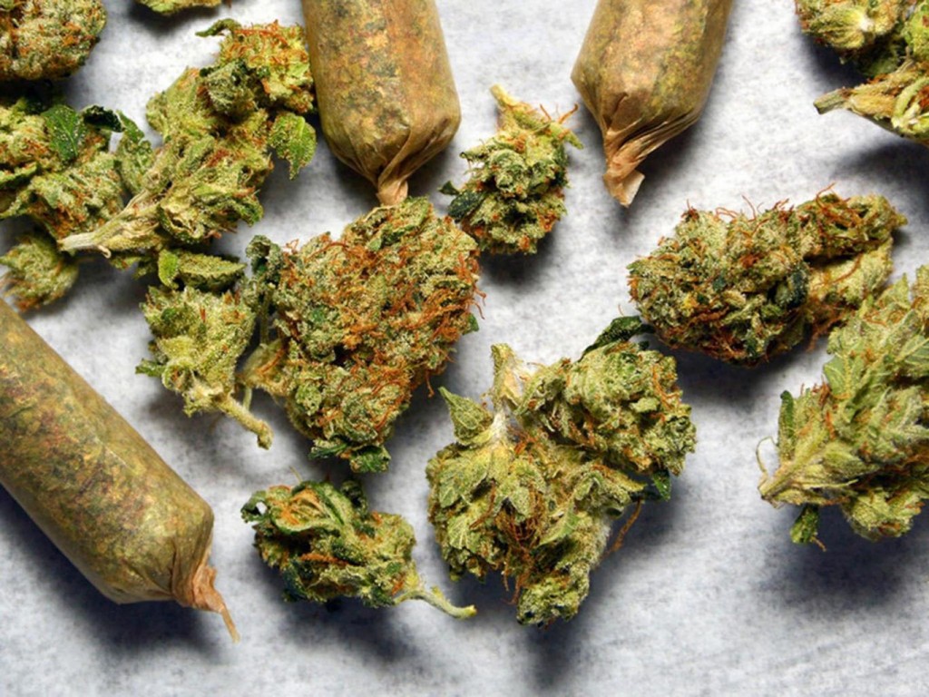 cannabis-1.jpg