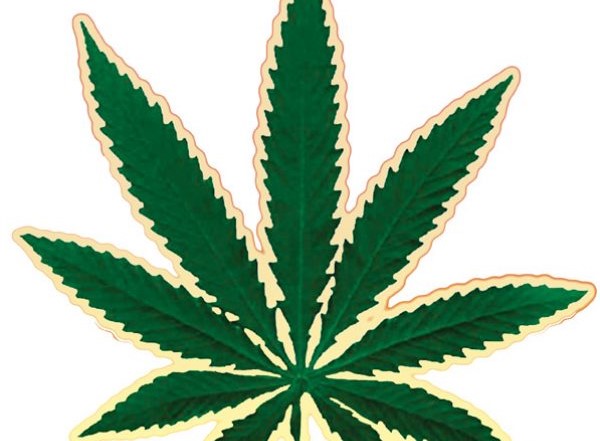 cannabis-leaf-outline-600x578.jpg