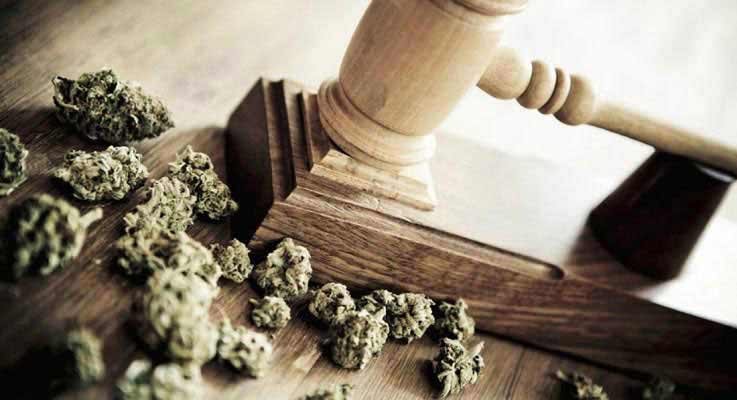 cannabis-legalization1.jpg