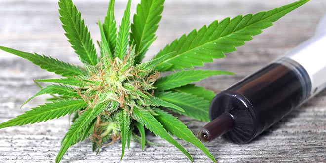 cannabis-oil6.jpg