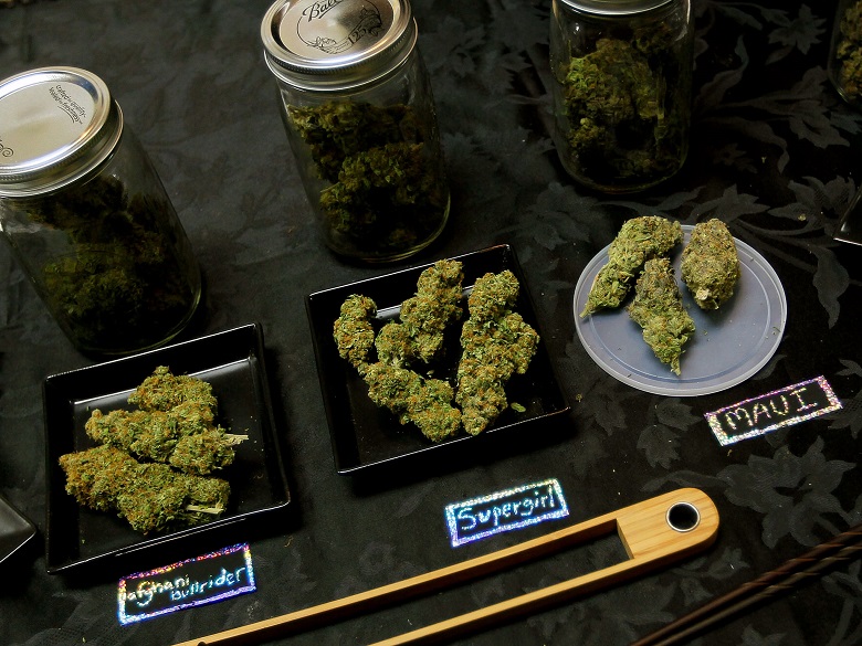 cannabis23.jpg