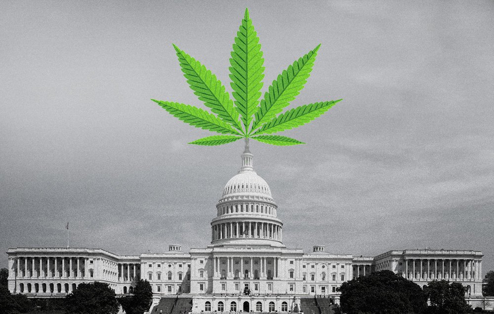 congress-marijuana1.jpg