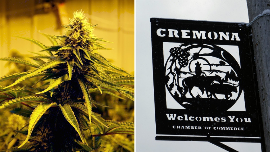 cremona-marijuana-collage.jpg