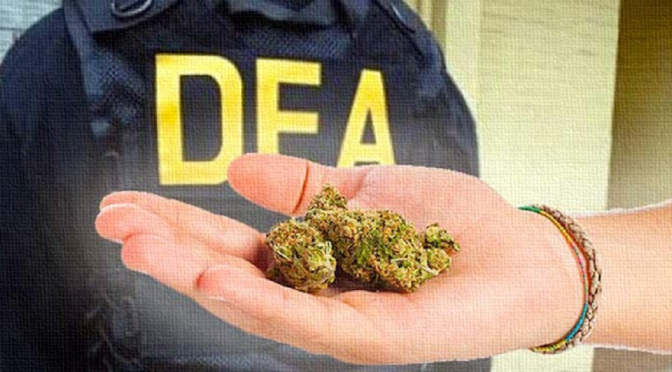 dea-cannabis.jpg