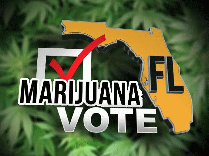 florida-marijuana-vote-hbtv-hemp-beach-tv.jpg