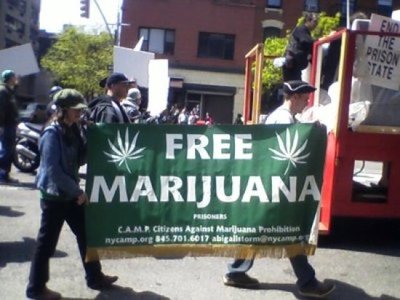 free-marijuana-prisoners.jpg