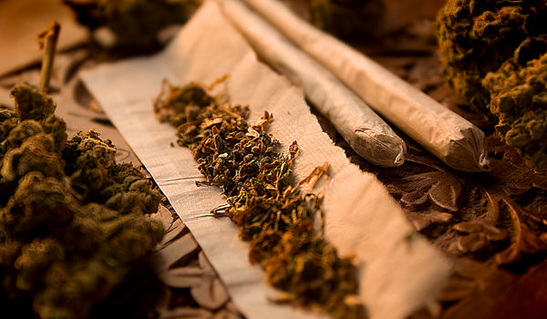 jointmarijuana.jpg