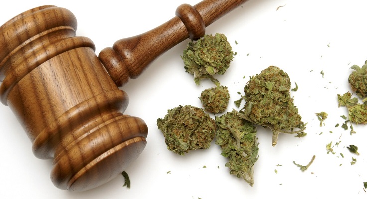 marijuana-and-the-courts-amendment-2.jpg
