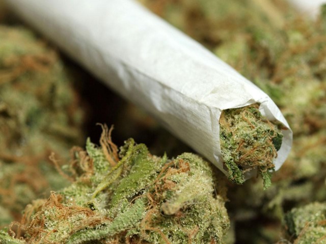marijuana-bud-and-joint.jpg
