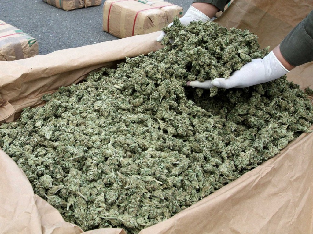 marijuana-buds1.jpg