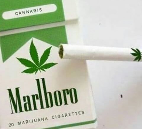 marijuana-cigarettes1.jpg