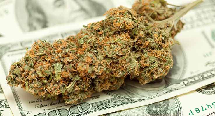 marijuana-money-_1_.jpg
