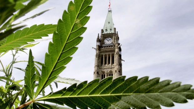 marijuana-pot-parliament-decriminalization.jpg