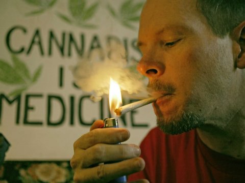 marijuana-weed-cannibus-is-medicine.jpg