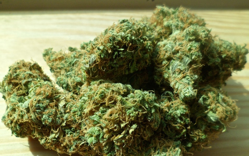 marijuana28.jpg