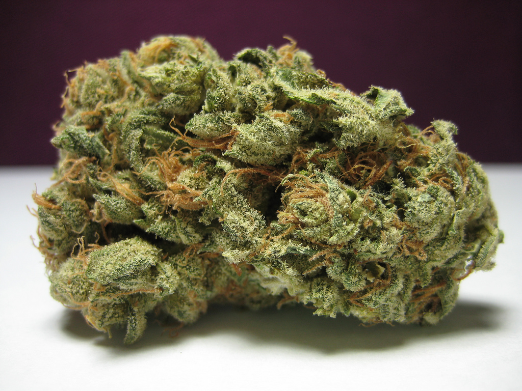 marijuana36.jpg