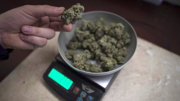 marijuana_and_scale.JPG