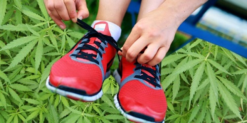 marijuana_shoes_f.jpeg