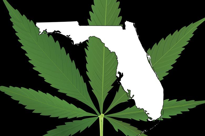 medical-marijuana-Florida-map.jpg