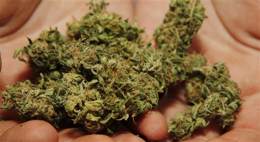 medical-marijuana-buds-in-hands.jpg
