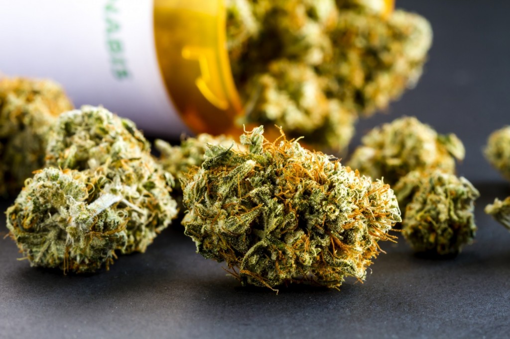 medical-marijuana-pot-21.jpg