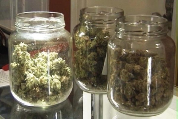 Cannabis_In_Jars6.jpg