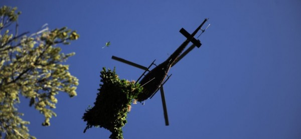 DEA-helicopter.jpg