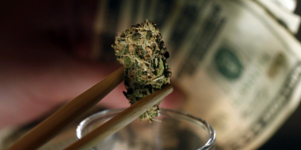 Invest_in_Marijuana_Stocks.jpg