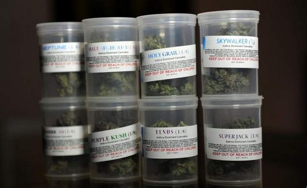 Medical_Cannabis_In_Containers.jpg