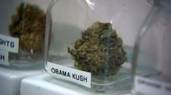 Medical_Cannabis_Obama_Kush.jpg