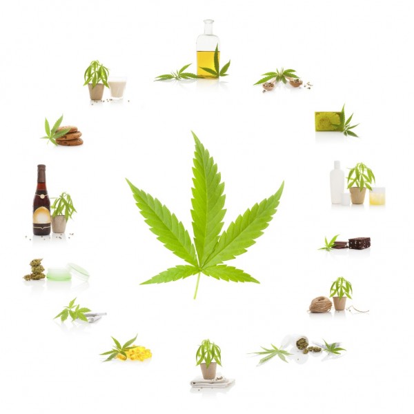 cannabisoil2.jpg